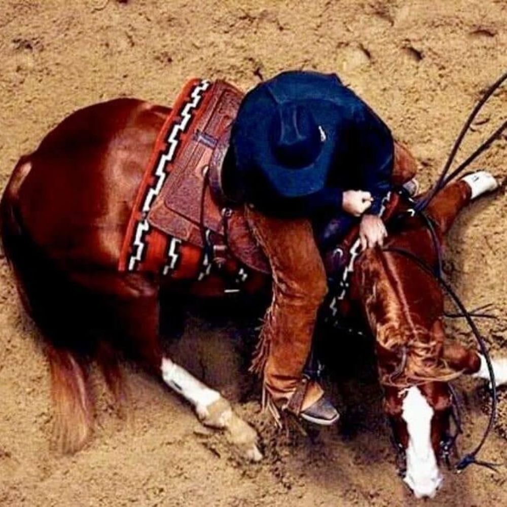 Meet your Posher, Karla